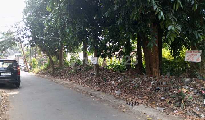 Tanah Pinggir Jalan Tanah Pinggir Jalan