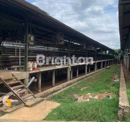 Former Chicken Farm Land in Cikidang Sukabumi