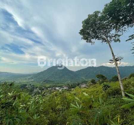 Dijual Tanah Di Babakan Madang Sentul Bogor Luas: 8900m Dengan View 4 Gunung.