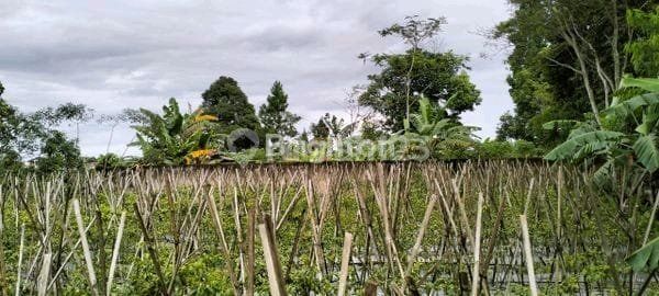 Dijual Tanah Di.mrfamrndung ********