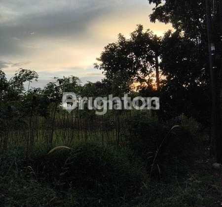 Dijual Tanah Di Sentul Kab.sentul Pinggir Jalan Jalur Wisata Rainbow Hill Bogor Dijual Tanah Di Sentul Kab.sentul Pinggir Jalan Jalur Wisata Rainbow Hill Bogor