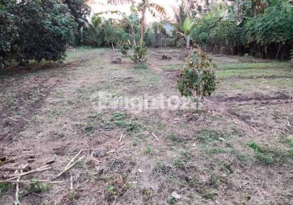 Inherited Land For Sale at Rp:2,502,000,000 In Cijoro Pasir, Sub-district: Rangkasbitung, District: Lebak, Banten Inherited Land For Sale at Rp:2,502,000,000 In Cijoro Pasir, Sub-district: Rangkasbitung, District: Lebak, Banten