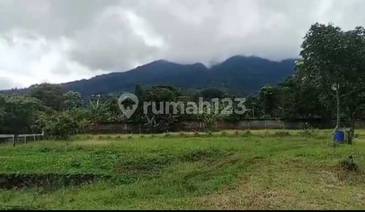 Kebun Durian View Gunung Salak dan Gunung Pangrango