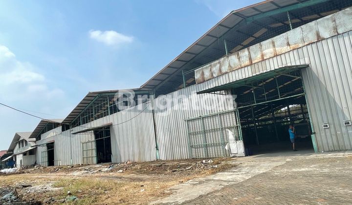 For Rent Warehouse/Factory Area 8100 Square Meters in Mauk Tangerang