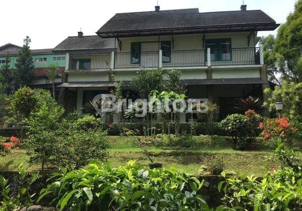 Comfortable and Lush Villa 5000m2 Adjacent to Vimala Hills Gadog Puncak Bogor West Java