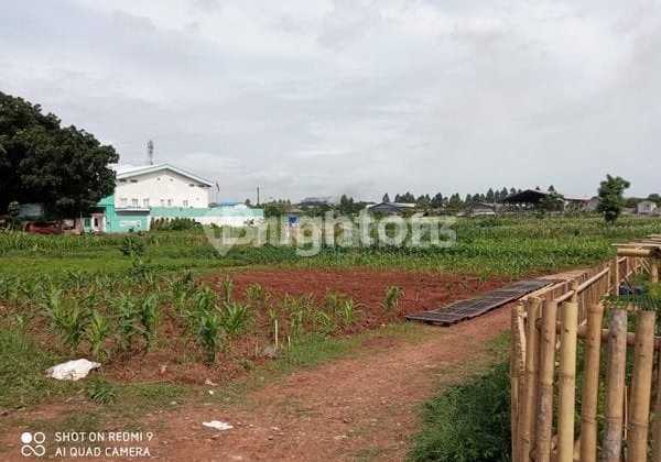 Dijual Cepat Tanah Kosong Ditangerang Dekat Pintu Tol Cocok Untuk Bangunan Pabrik / Gudang / Perumahan & Ruko Dijual Cepat Tanah Kosong Ditangerang Dekat Pintu Tol Cocok Untuk Bangunan Pabrik / Gudang / Perumahan & Ruko