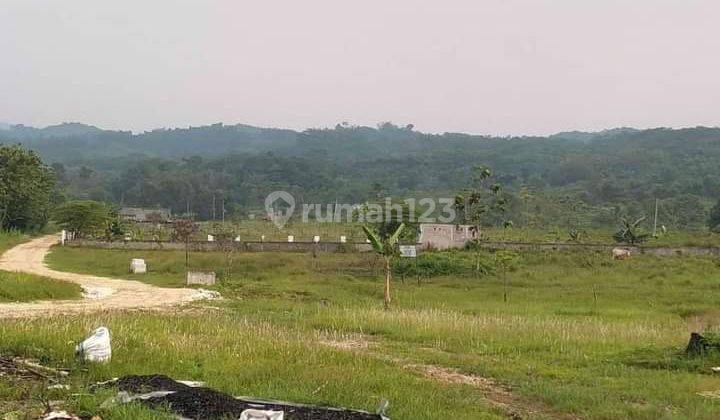 Dijual Tanah 24ha Shm Matang Cocok Untuk Perumahan 2