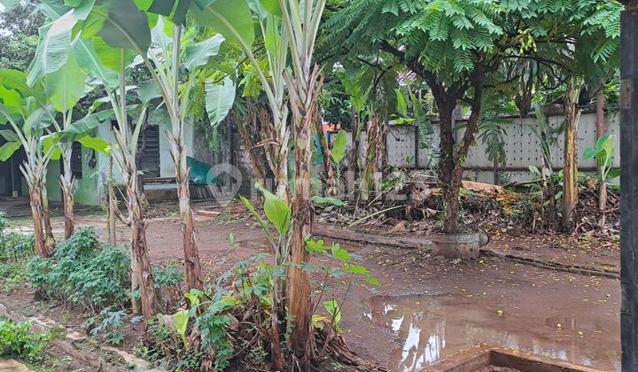 Dijual Tanah Lokasi Mainroad Kramat Jati Jakarta Timur Dijual Tanah Lokasi Mainroad Kramat Jati Jakarta Timur