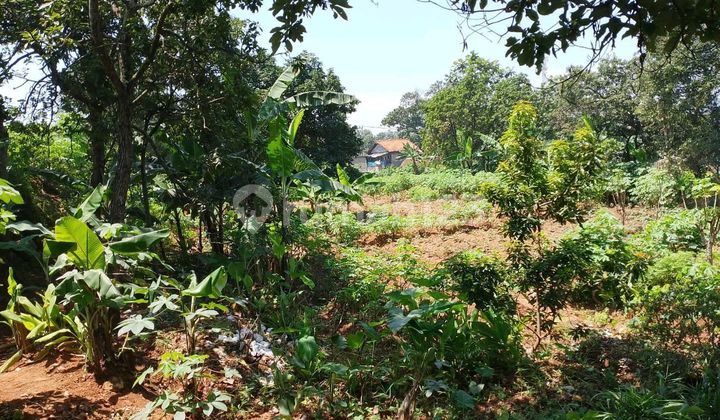 Dijual Tanah Matang Mainroad Jalan Raya Cinunuk Cileunyi