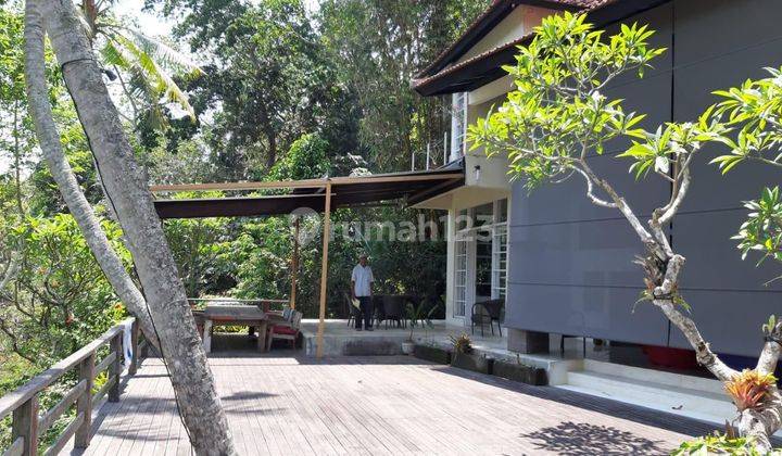 Dijual Villa View Jungle Dan Sungai Di Ubud Oc 2