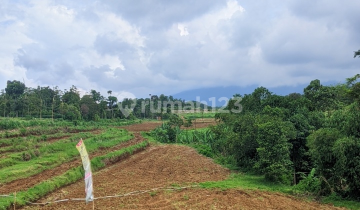 Tanah Kavling Puncak Bogor, Akses Dekat Tol, View Gunung Salak Tanah Kavling Puncak Bogor, Akses Dekat Tol, View Gunung Salak