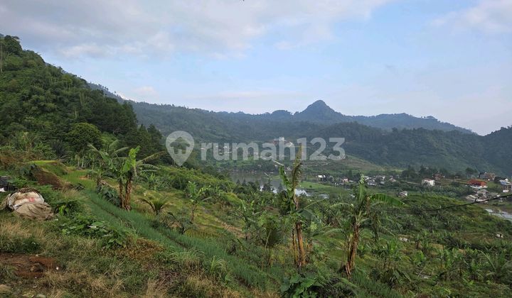 Jual Tanah Luas 1000Mseberang Wisataview Danau Gunung Sawah Jual Tanah Luas 1000Mseberang Wisataview Danau Gunung Sawah