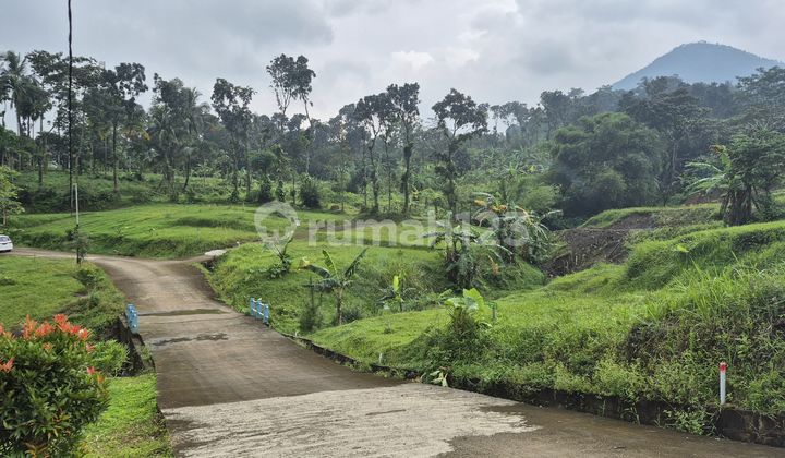 Jual Tanah Nempel Jalan Raya Lokasi Strategis 20 Menit Dari Tol Jual Tanah Nempel Jalan Raya Lokasi Strategis 20 Menit Dari Tol