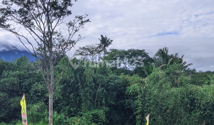 Tanah Kavling Puncak Bogor Akses Dekat Tol View Gunung Salak