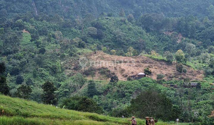 Jual Tanah Surat Shm View Lepas Siap Bangun Lokasi Bogor 2