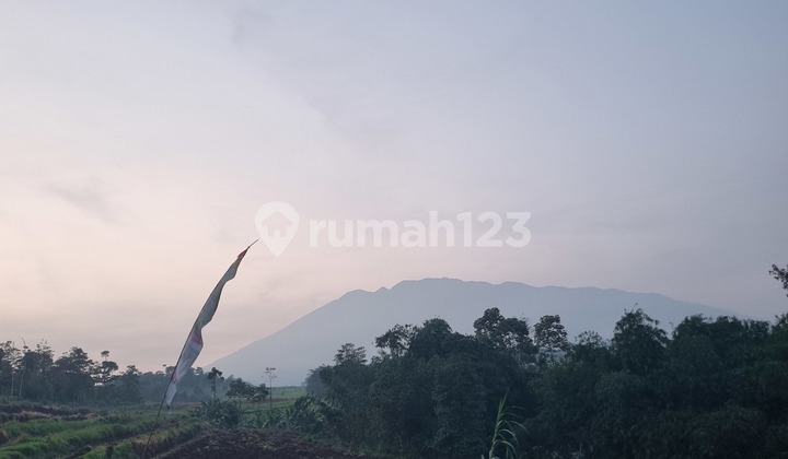 Tanah Kavling Puncak Bogor View Gng Pangrango Akses Bebas Macet Tanah Kavling Puncak Bogor View Gng Pangrango Akses Bebas Macet