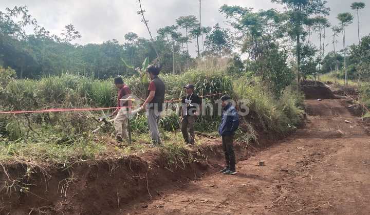 Tanah Kavling Puncak Bogor Akses Dekat Pintu Tol Ciawi Tanah Kavling Puncak Bogor Akses Dekat Pintu Tol Ciawi