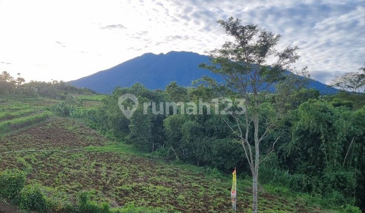 Tanah Kavling Puncak Bogor, Akses Dekat Tol, View Gunung Salak