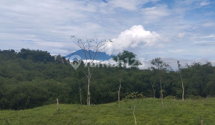 Tanah Kavling Puncak Bogor, Akses Dekat Tol, View Gunung Salak Tanah Kavling Puncak Bogor, Akses Dekat Tol, View Gunung Salak