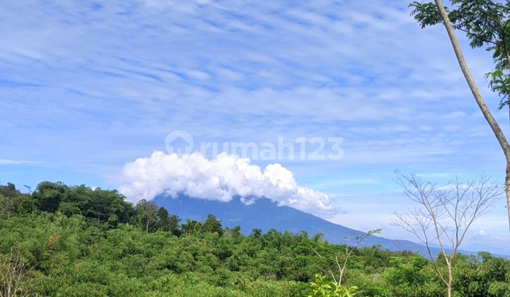 Peak Bogor Land Plot, Near Toll Road Access, Mount Salak View Peak Bogor Land Plot, Near Toll Road Access, Mount Salak View