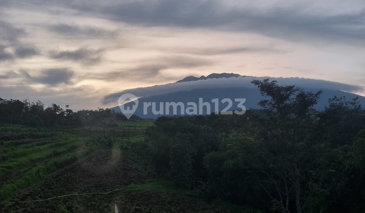 Tanah Murah Akses Bebas Macet Dekat Tol View Gunung Pangrango