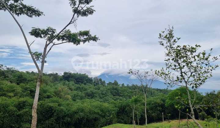 Land plot strategic location near toll road view Mount Pangrango