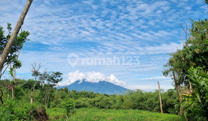 Tanah Kavling Murah Puncak Bogor Akses Dekat Tol View Gunung 