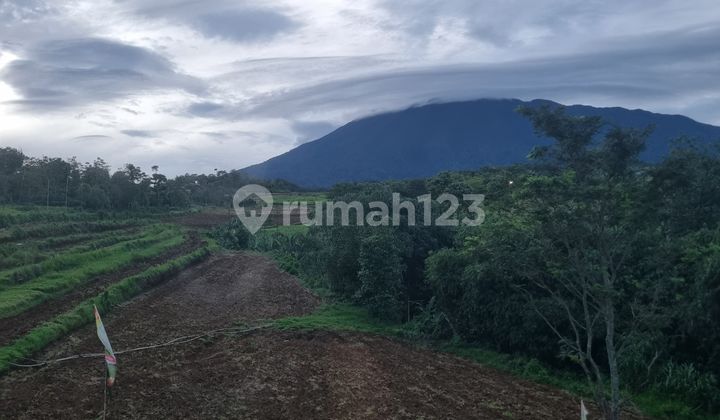 Tanah Kavling Puncak Bogor, Akses Dekat Tol, View Gunung Salak Tanah Kavling Puncak Bogor, Akses Dekat Tol, View Gunung Salak