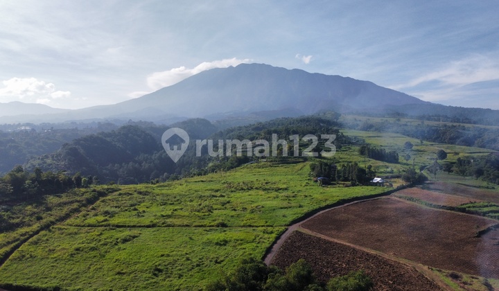 Tanah Kavling Puncak Bogor Bebas Macet View Gg Pangrango Salak