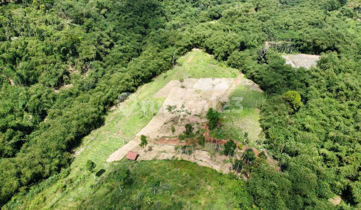 Tanah 1 Hektar Dekat Project Hutan Kota View Pegunungan Dekat Tol