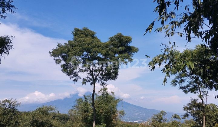 Tanah Kavling Puncak Bogor, Akses Dekat Tol, View Gunung Salak Tanah Kavling Puncak Bogor, Akses Dekat Tol, View Gunung Salak