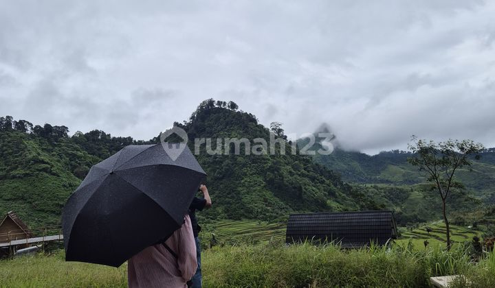 Tanah Kavling Ekslusif Lokasi Strategis Pinggir Jalan Raya Tanah Kavling Ekslusif Lokasi Strategis Pinggir Jalan Raya