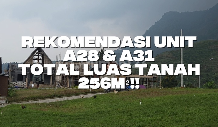 Tanah Luas 256M SHM View Gunung Danau Nempel Jalan Raya Tanah Luas 256M SHM View Gunung Danau Nempel Jalan Raya