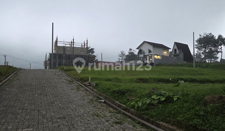 Tanah Luas 256M SHM View Gunung Danau Nempel Jalan Raya Tanah Luas 256M SHM View Gunung Danau Nempel Jalan Raya