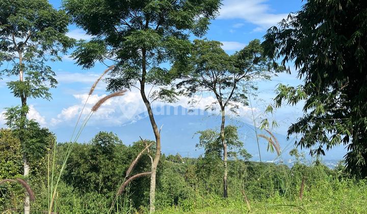 Tanah 2 Hektar Lokasi Strategis View Salak Gede Tanah 2 Hektar Lokasi Strategis View Salak Gede