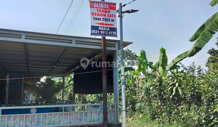 DIJUAL CEPAT Tanah Kebun Jati Di Pusat Kota bogor 2