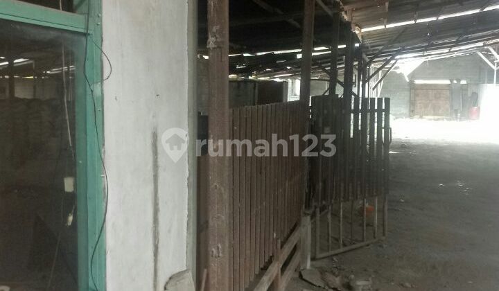 FOR SALE: LAND IN SUMBERPASIR, PAKIS, MALANG