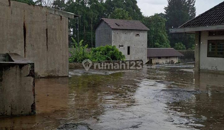 Rumah Gudang Tanah Luas, Seberang Akses Tol Purwodadi 2