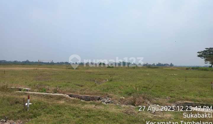 Tanah Datar Luas 17681 M2 di Sukabakti Tambelang Cikarang Kab Bekasi