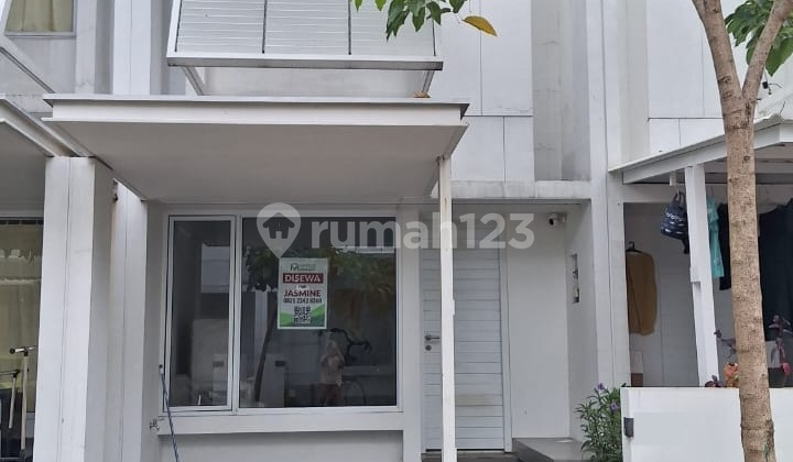 Furnished House for Rent in Tabebuya Cluster, Inspirahaus, BSD