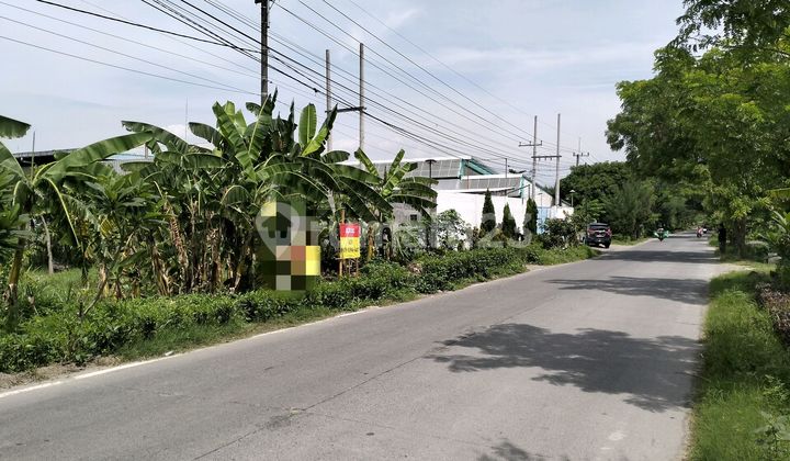 Tanah Industri Raya Kutorejo Bangsal Mojokerto Tanah Industri Raya Kutorejo Bangsal Mojokerto