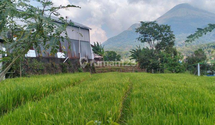 Tanah View Gunung Arjuna Nol Jl Raya Airlangga Trawas Mojokerto 2