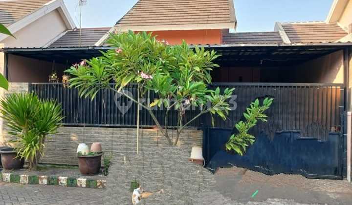 Rumah Siap Huni Taman Pondok Jati Sidoarjo Rumah Siap Huni Taman Pondok Jati Sidoarjo