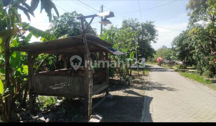 Tanah Strategis Desa Pejangkungan Prambon Wonoayu Sidoarjo Tanah Strategis Desa Pejangkungan Prambon Wonoayu Sidoarjo