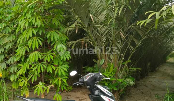 Pakem Turi Sleman Land Pakem Turi Sleman Land