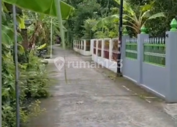 Bonus Land with Cabbage House in Gunungan, Sumbermulyo, Bantul, Yogyakarta 2
