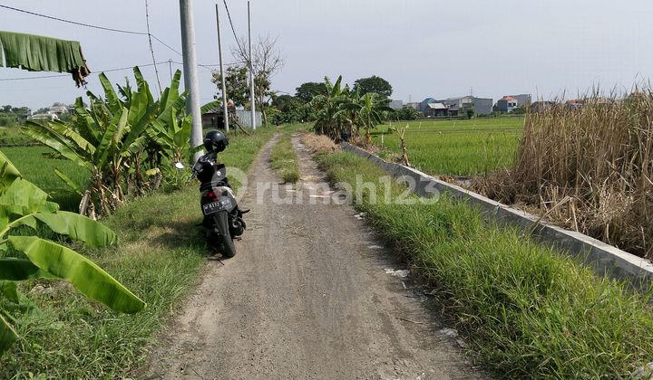 Plot Land Yellow Ganting Gedangan Sidoarjo