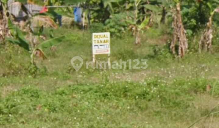Tanah Kavling Pacing Belakang Sekolah Polisi Mojokerto