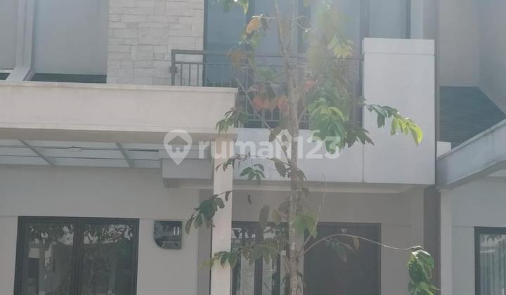 Rumah Siap Huni SHM di Podomoro Park Rumah Siap Huni SHM di Podomoro Park