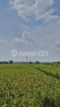 Tanah Akses Mudah di Serang Baru, Bekasi, Luas Tanah 440M², Area Berkembang